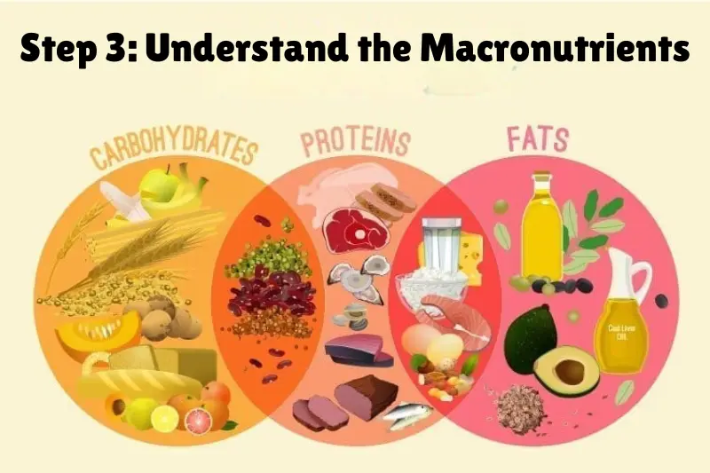 step 3 understand the macronutrients